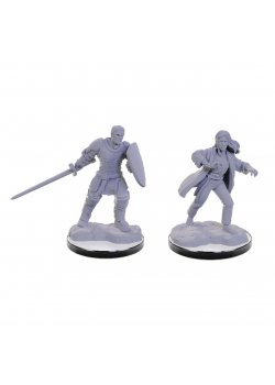 D&D Nolzur's Marvelous Miniatures: Reborn Paladin and Warlock